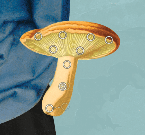 Półprzezroczystość i głębia