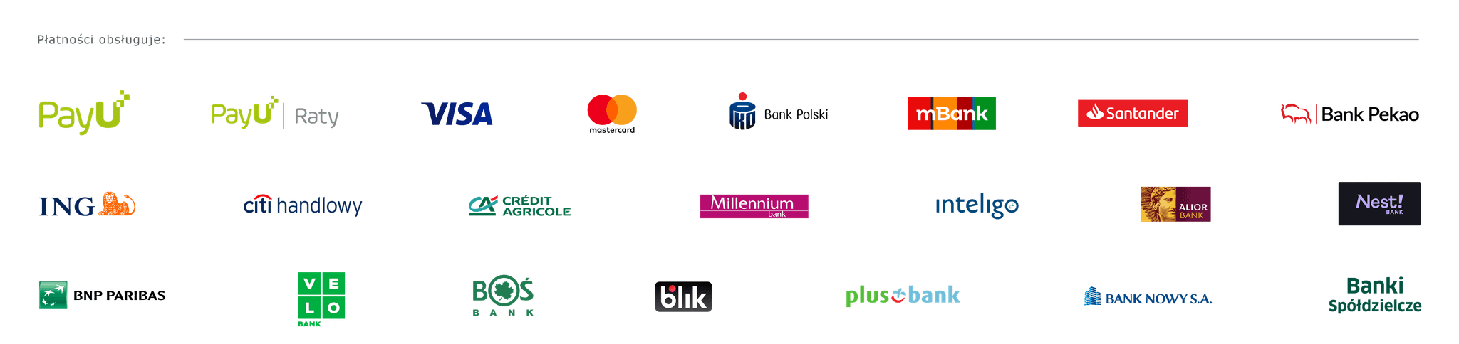 Logotypy banków i systemów płatności